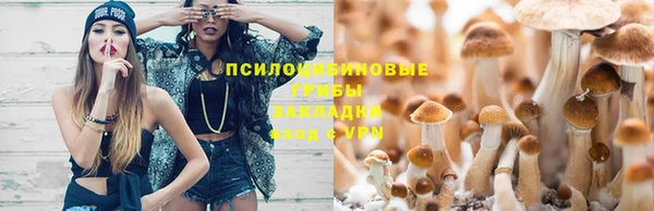 молекула духа Елабуга