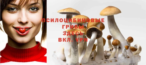 молекула духа Елабуга
