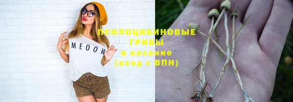молекула духа Елабуга