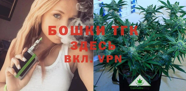 молекула духа Елабуга