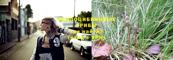 твердый Елизово