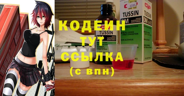 молекула духа Елабуга