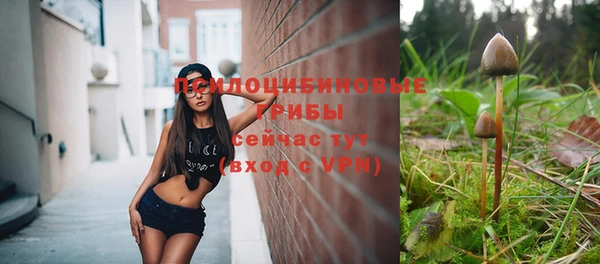 молекула духа Елабуга