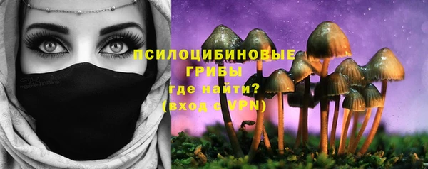твердый Елизово