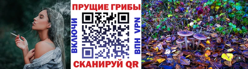 Галлюциногенные грибы MAGIC MUSHROOMS Чишмы