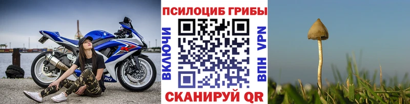 Купить закладки Чишмы Галлюциногенные грибы MAGIC MUSHROOMS